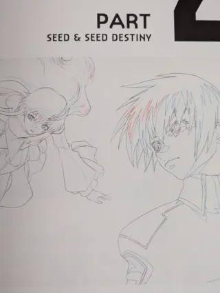 Mobile suit Gundam seed freedom