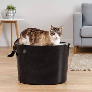 Iris Ohyama Arenero Gato Cubierto con Pala, hasta