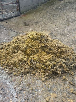 Se regala Abono / Estiércol