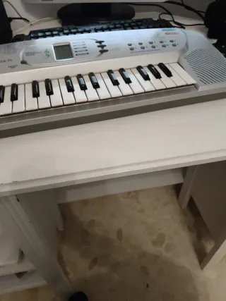 Piano Casio SA-75 100 Tonos 30 Ritmos 10 Canciones