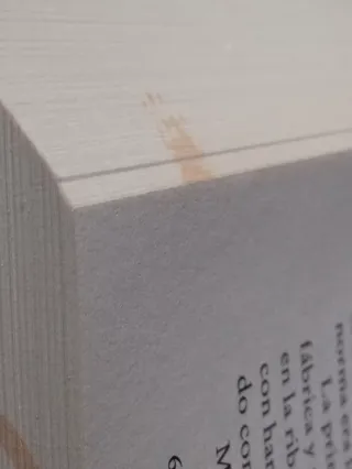 La armadura de la luz y una columna de fuego (Spa