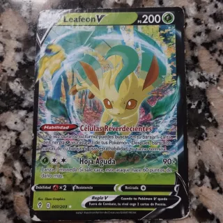 Lote cartas Pokémon