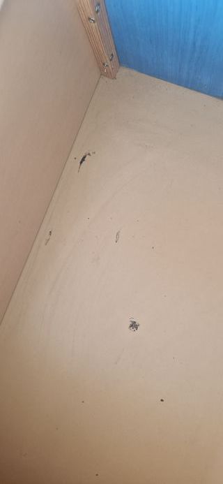 Estructura cama madera y metal con cajones