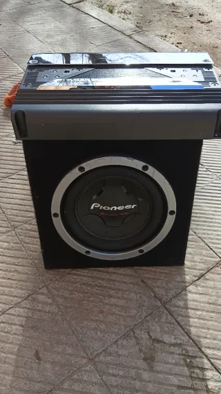 Subwoofer Pioneer TS-300D4