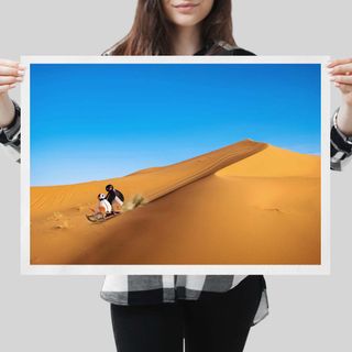 Pingu desierto poster/cuadro
