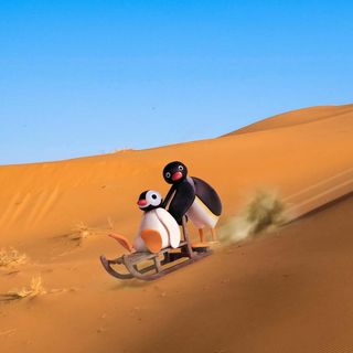 Pingu desierto poster/cuadro