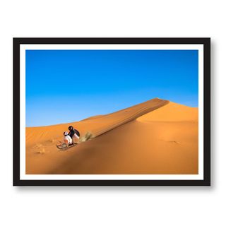 Pingu desierto poster/cuadro