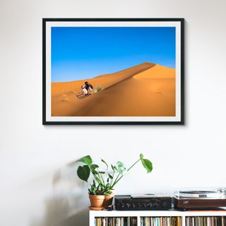 Pingu desierto poster/cuadro