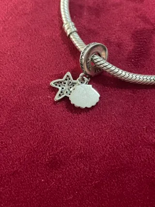 Charm Concha y Estrella de Mar