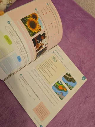 Lengua Castellana y Literatura. 2 Primaria. Tri...