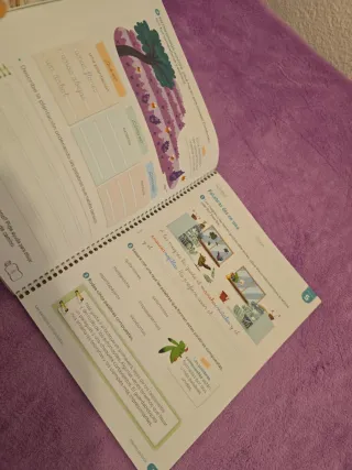 Lengua Castellana y Literatura. 2 Primaria. Tri...