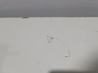 PORTON TRASERO SEAT LEON (1P1)