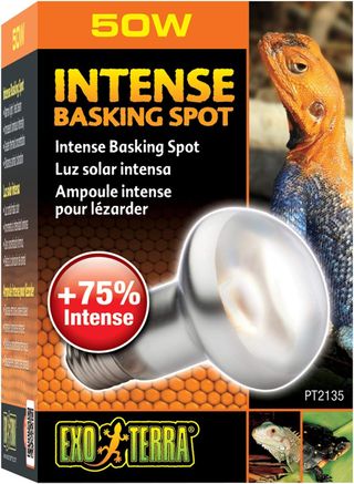 Exo Terra Lámpara Intense Basking Spot, 50 W