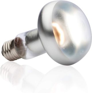 Exo Terra Lámpara Intense Basking Spot, 50 W