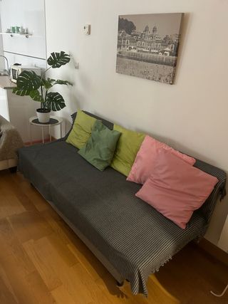 Sofá Cama Gris con Cojines