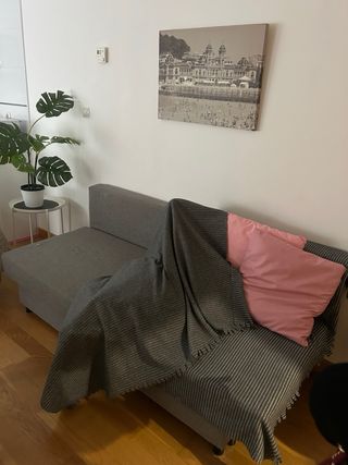 Sofá Cama Gris con Cojines