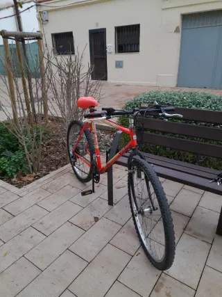 Bicicleta de Montaña