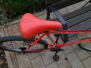 Bicicleta de Montaña