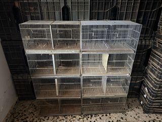 Gabbie per uccelli da 60 cm