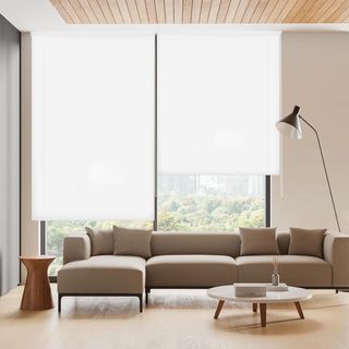 Blindecor Ara | Estor enrollable translúcido liso