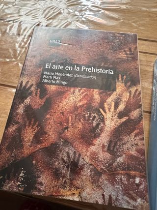 El arte en la prehistoria (GRADO) (Spanish Edit...