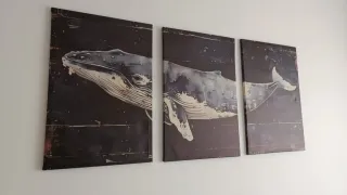 Cuadro Decorativo de Ballena