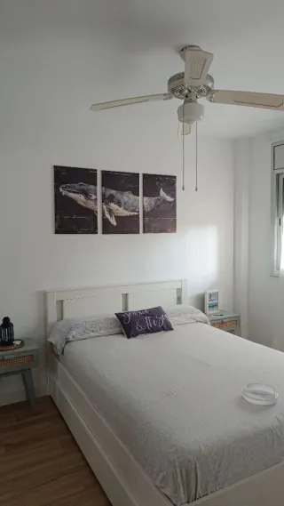 Cuadro Decorativo de Ballena