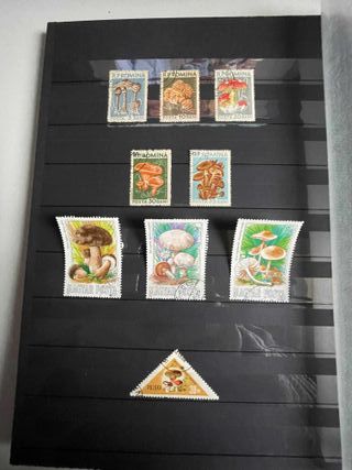 Sellos de setas y flores.