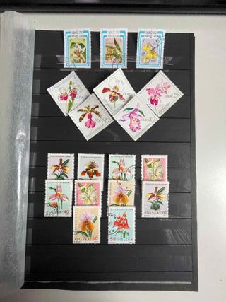 Sellos de setas y flores.