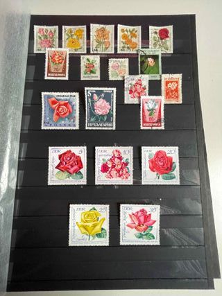 Sellos de setas y flores.