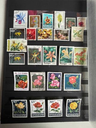 Sellos de setas y flores.