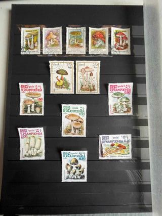 Sellos de setas y flores.