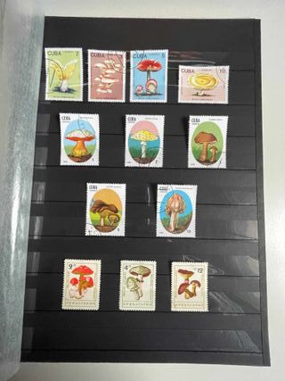 Sellos de setas y flores.