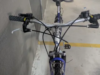 Bicicleta de Montaña Globe Trotter