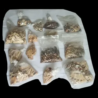 Lote ABALORIOS Colgantes Pendientes