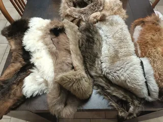 Colletti pelliccia misti e due colbacchi con code