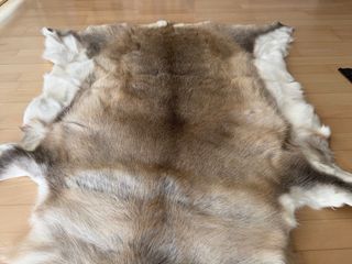 Alfombra de reno sin estrenar Laponia, Finlandia