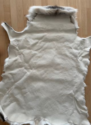 Alfombra de reno sin estrenar Laponia, Finlandia