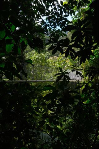 Fujifilm X-T4 + Objetivo 16-80mm