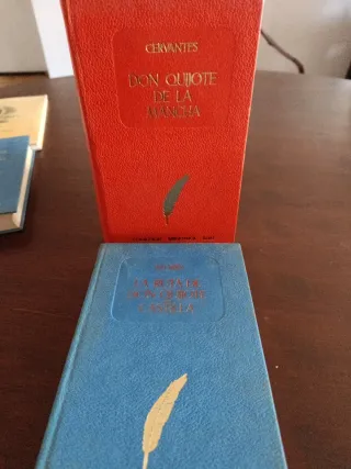 Don quijote de la mancha -Coleccion biblioteca EDA