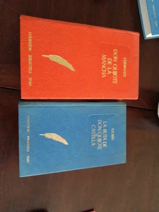Don quijote de la mancha -Coleccion biblioteca EDA