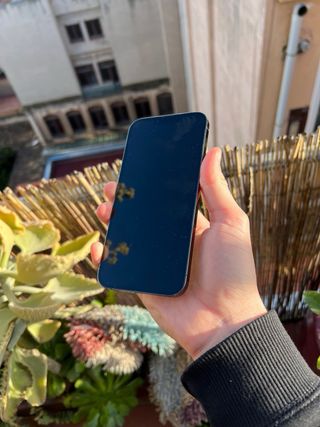 iPhone 13 Pro Max 512GB 100%