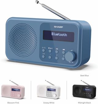 - Sharp DR-P420(BL) Tokyo Radio Digital portátil