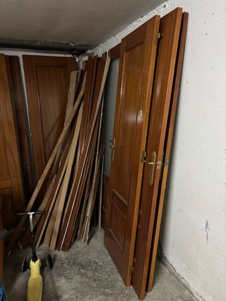 Puertas de madera maciza 20€ cada una.