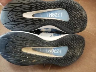 Zapatillas Nike Court Air Zoom Zero Prism Print