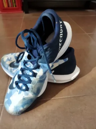 Zapatillas Nike Court Air Zoom Zero Prism Print