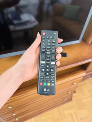 Televisión LG 24 Smart TV