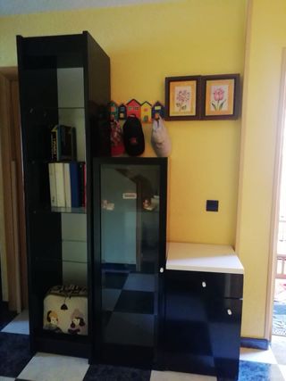Estantería ,vitrina y mueble bajo