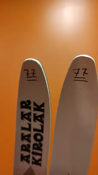 Esquís de fondo Fischer y bastones