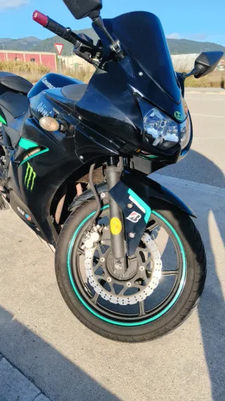Kawasaki Ninja 250R 2011 A2